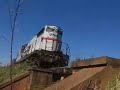 TREM GEST�O DA VEGETA��O - MARCELO BRAGUINI FERREIRA