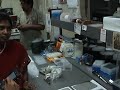 CIP Use Case in Virology Lab - 3