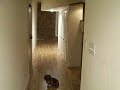 318-5 PCW Apt 308 2.MOV