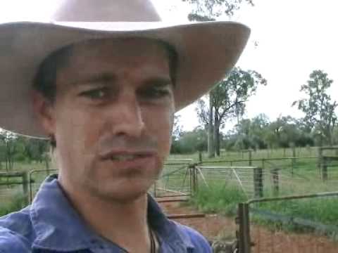 how to help qld farmers