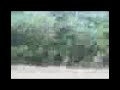 Regional Science High School (Part 354) Regional Science High School (Part 354)
