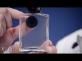 Video: Ferrofluid in a Bottle