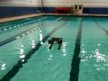 videos de Compressed Air Powered Boat