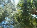 A walk in Josane Park