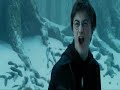Harry Potter: HarryPOwned - CRACK &amp; SLASH