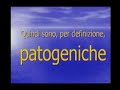 Il particolato e le nanoparticelle: Morire a norma di legge. Il particolato e le nanoparticelle: Morire a norma di legge.