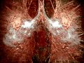 オーストラリア禁煙キャンペーンCM