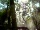Air, Light, Water Air, Light, Water