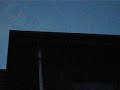 Silhouette of Pipistrelle Bat exiting building