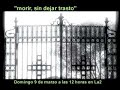 El escarabajo verde - \ El escarabajo verde - \