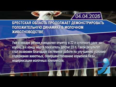 Новостная лента Телеканала Интекс 04.04.25.