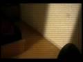 videos de 01.01.09 ... Just around the corner