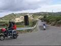 videos de Floresta on the road
