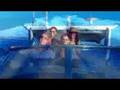 it's all gone pete tong View Video