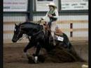 Reining Horses