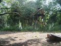 mountain board