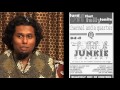 TAAQ - DIY Patato Junkle