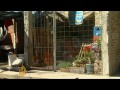 Land grabs in Buenos Aires slums