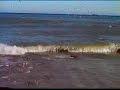 Outer Banks BlueFish Blitz Outer Banks BlueFish Blitz