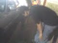 vlu y nato gomitando jajajajajajajaja vlu y nato gomitando jajajajajajajaja