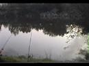 JJ Cabanes Fishing 10=The big carp and the tree=Carp fishing JJ Cabanes Fishing 10=The big carp and the tree=Carp fishing