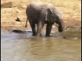 Ellie Baby Playing In Water at Pete\