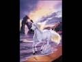 L'Unicorno