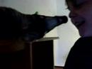Coatimundi nose blows! Coatimundi nose blows!