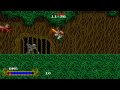 played to cadash chapter 3 forest maze (with fighter) taito 1989
