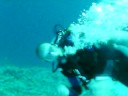 egypte 2008 195.AVI egypte 2008 195.AVI