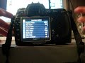 Nikon D300 at 8 fps without battery grip