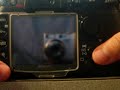 Nikon D300 at 8 fps without battery grip