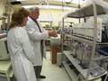 Mice Reveal Sleep Apnea Risks