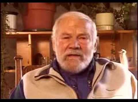 2of4 Peace Plan, Iraq Dividend to ...