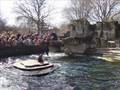 Seal Show