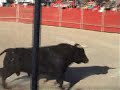 locura-taurina.es ajalvir 2008