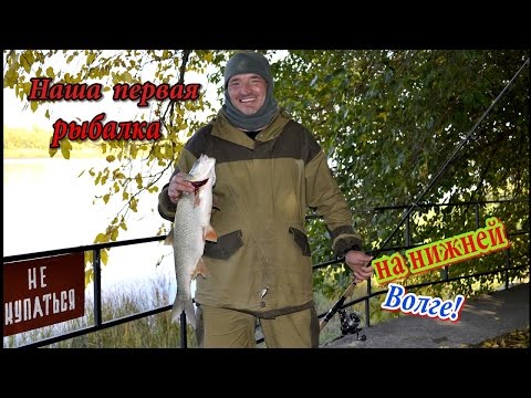 как ловят толстолобика видео на волге астрахань как ловят толстолобика видео на волге астрахань