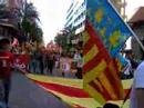 manifestació alacant sí