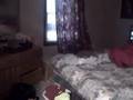 videos de statler