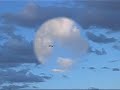 Very Fast R/C Plane 175 mph Very Fast R/C Plane 175 mph