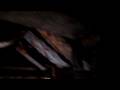 videos de Ringwood state park
