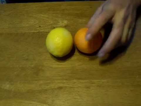 how to grow a lemon tree from seed