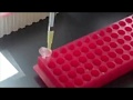 How to do a PCR