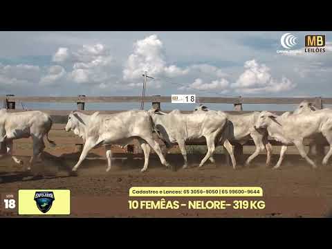 1� LEIL�O EXPOJUINA - 2026
