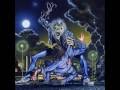 Tilen Sapac - Wasted Years ( Iron Maiden cover )