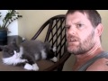 The POWER of the PUSSY