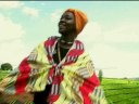 tamba