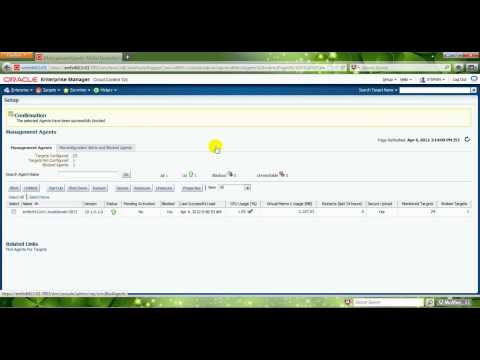 how to remove oem agent 12c