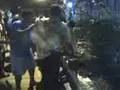 videos de rata vieja
