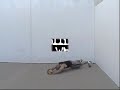 crazy creig part 2 - Thumb #3